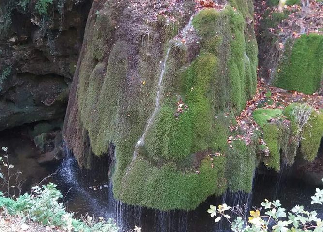 Bigar waterfall by Holiday to Romania