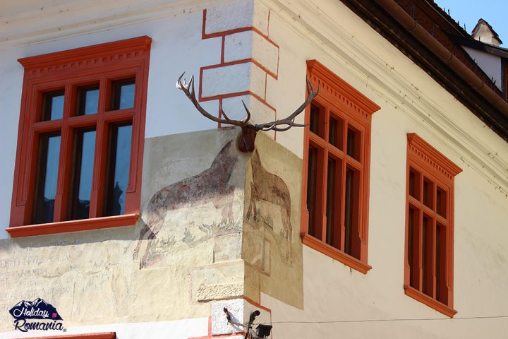House with Antler in Sighisoara by Holiday to Romania