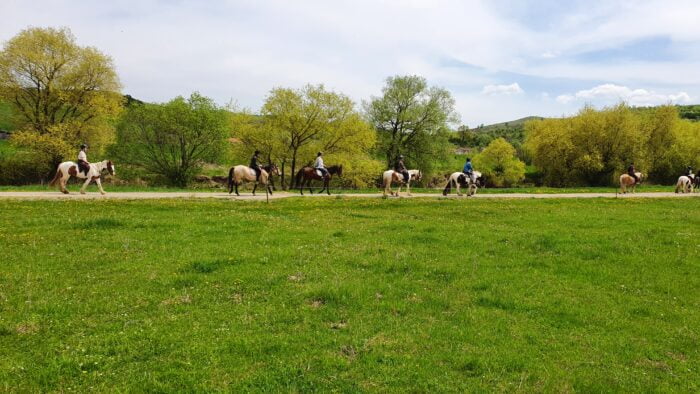 Horseback Riding near Brasov