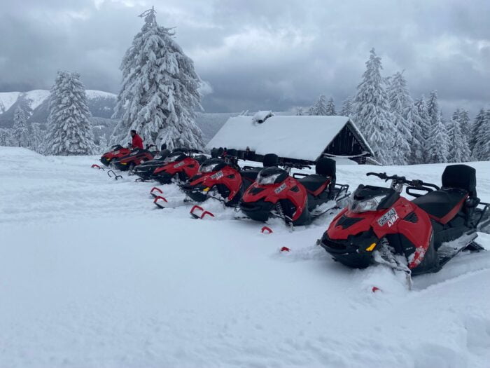 Snowmobile Tour in Romania